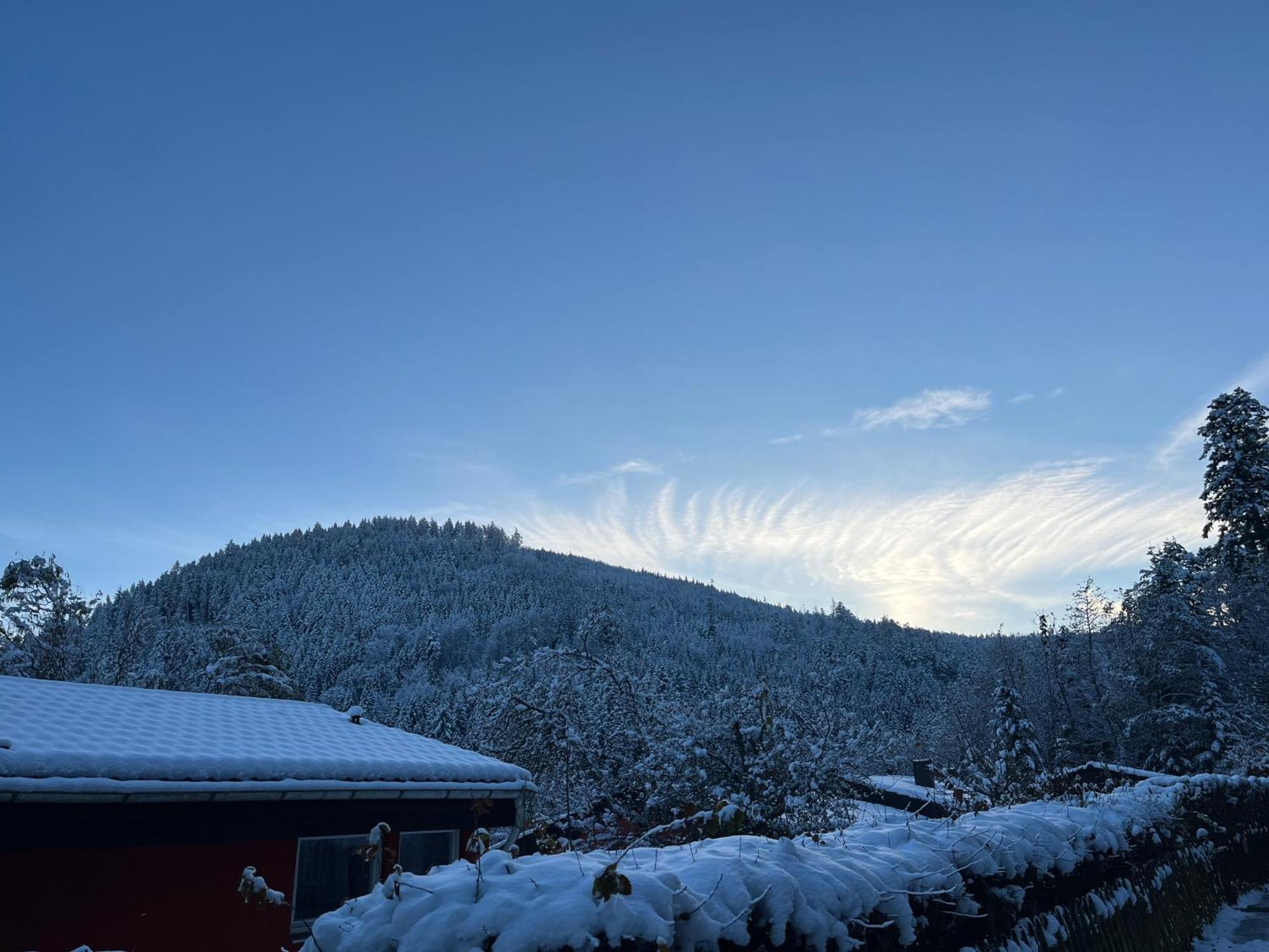 Waldhaus Max Appartement Bad Wildbad Buitenkant foto